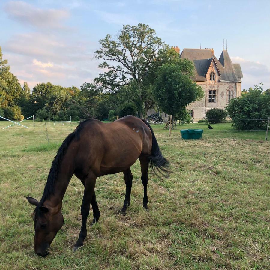 Manoir De La Chouanniere Villa Montreuil-sur-Maine Eksteriør bilde